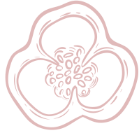 رستوران ۲ 49 رستوران ۲ 49