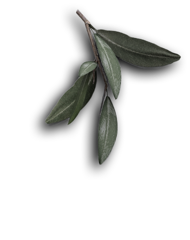 رستوران ۲ 71 رستوران ۲ 71