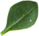 رستوران ۲ 29