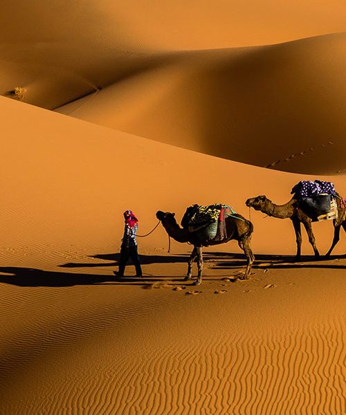 قالب وردپرس آژانس مسافرتی و تور 43