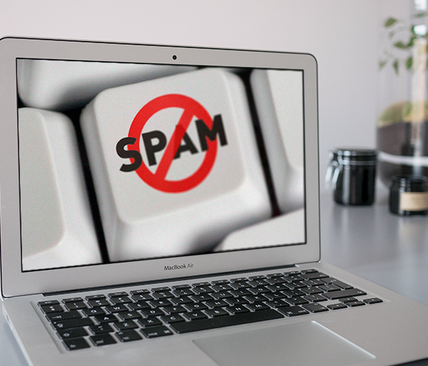 Spam blog